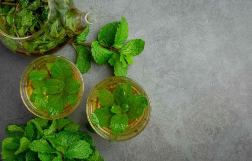 BENEFITS OF PEPPERMINT(PUDINA)