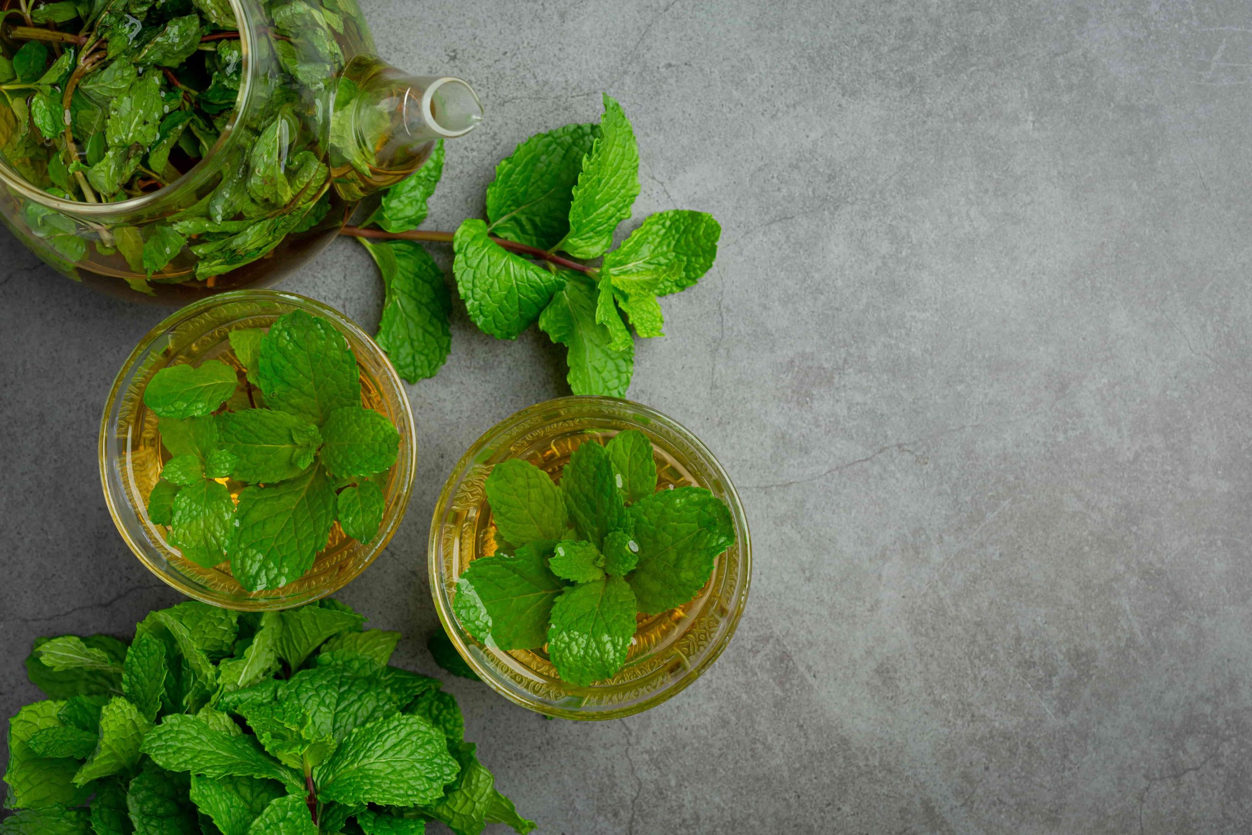 BENEFITS OF PEPPERMINT(PUDINA)